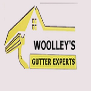 Woolley's Gutter Experts San Diego's Logo