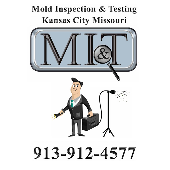 Mold Inspection & Testing Kansas City MO's Logo