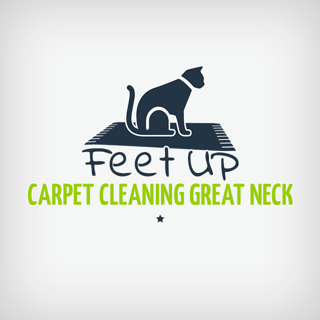 Feet Up Carpet Cleaning Great Neck's Logo