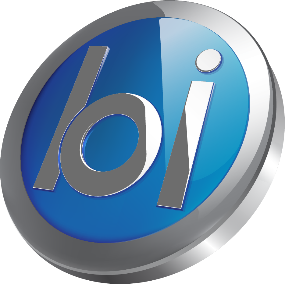 Binary Ideas Local Marketing's Logo