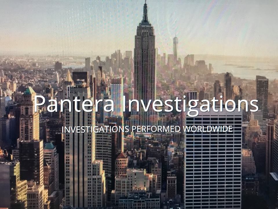 Pantera Investigations LLC's Logo