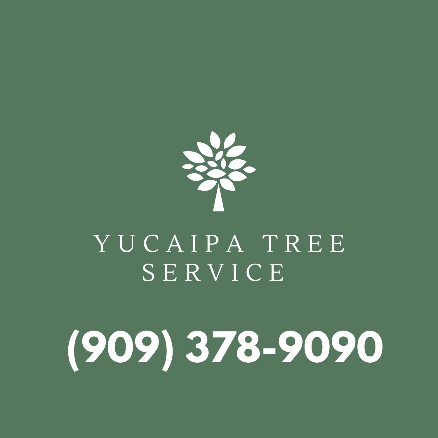 Yucaipa Tree Service's Logo