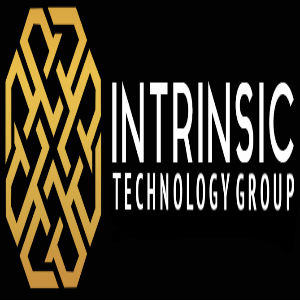 Intrinsic Technology Group's Logo