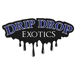 Drip Drop Exotic Car Rental's Logo