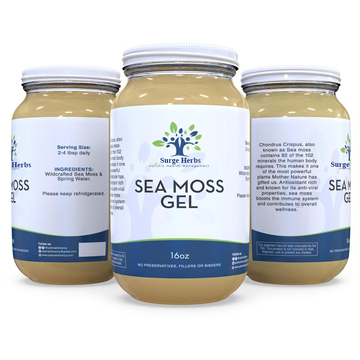 Sea Moss Monthly's Logo