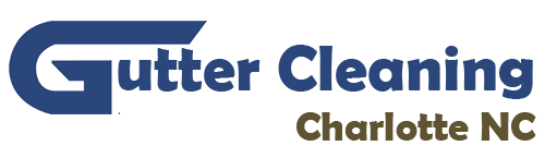 The Gutter Cleaner Guys's Logo