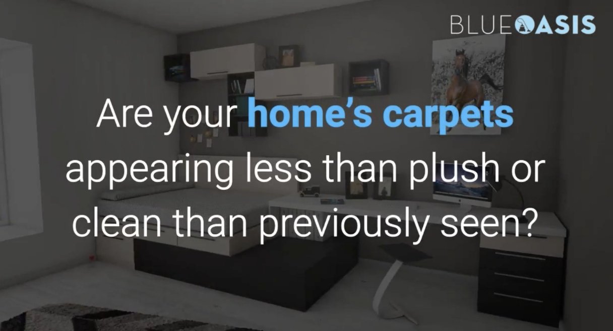 Blue Oasis Carpeting Cleaning of West Palm Beach