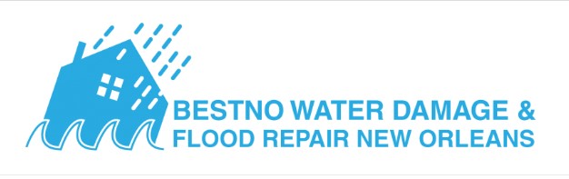 BESTNO Water Damage & Flood Repair New Orleans's Logo