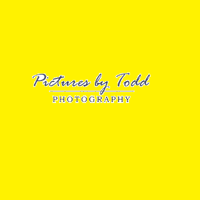 Pictures by Todd's Logo