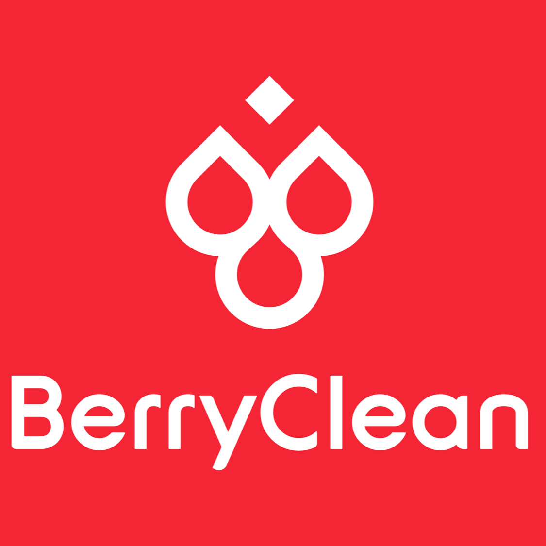 BerryClean