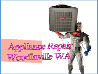 Appliance Repair in Woodinville WA's Logo