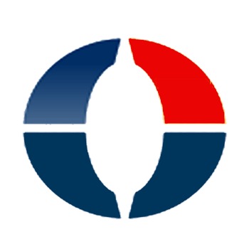 Ordius IT Solutions Pvt. Ltd.'s Logo