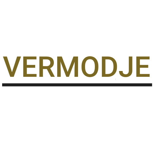 Vermodje's Logo