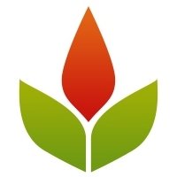 Phoenix Steve Mapua SEO's Logo