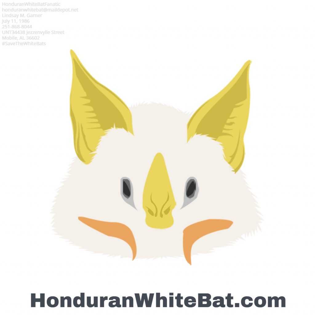 HonduranWhiteBatFanatic's Logo