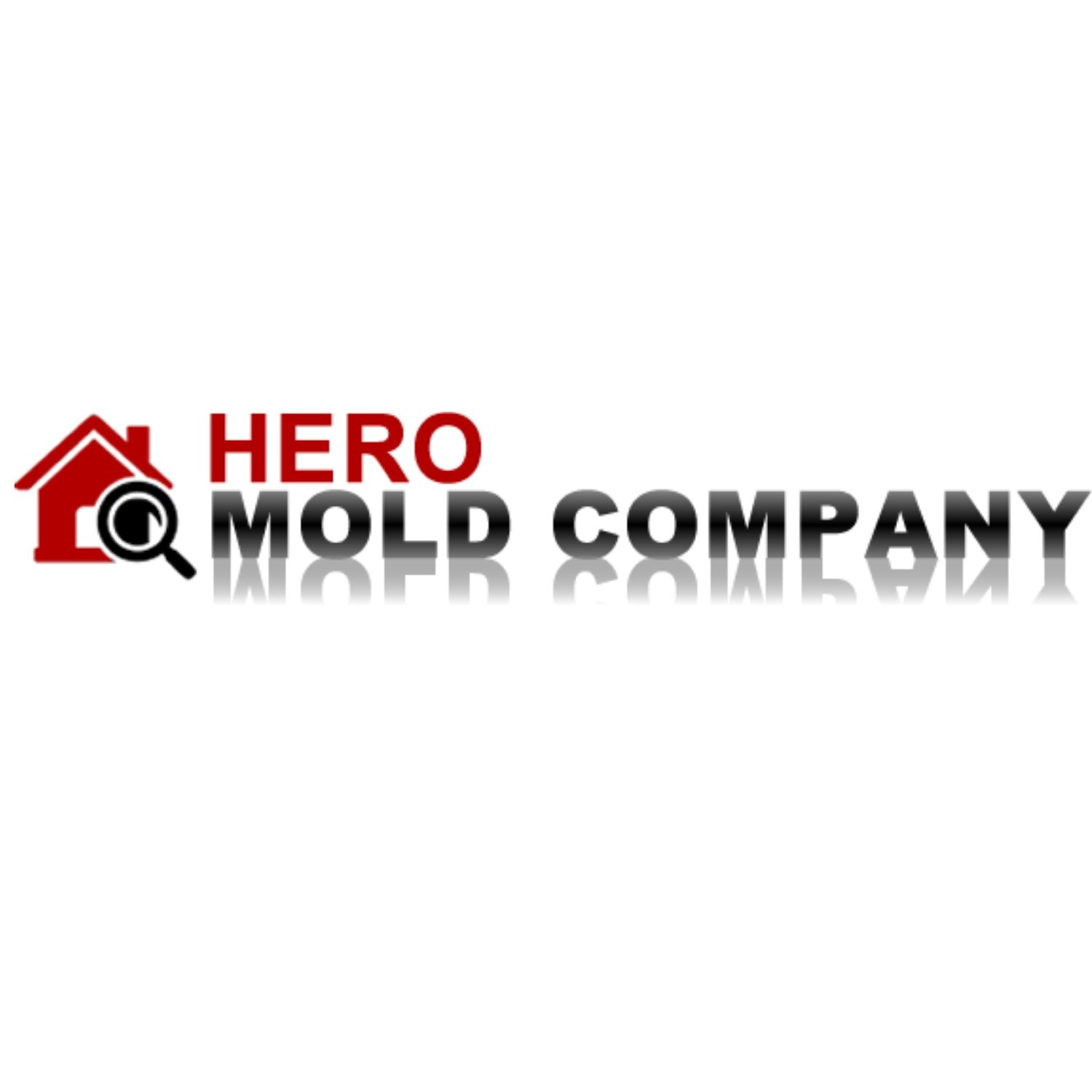 Hero Mold Company's Logo