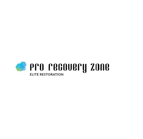Pro Recovery Zone's Logo