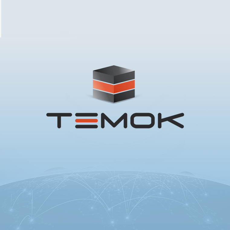 Temok IT Services's Logo