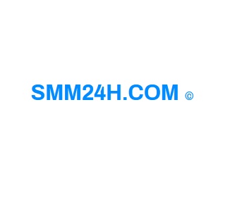 SMM Provider USA India Australia South Africa - SMM24H's Logo