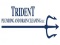 Trident Plumbing and Drain Cleaning LLC.'s Logo