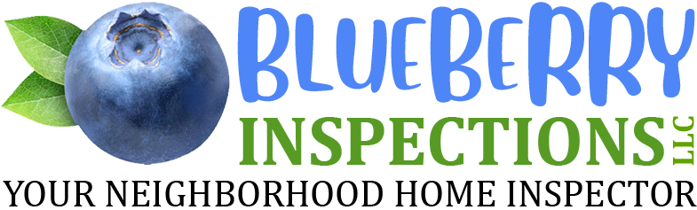 Blueberry Inspections's Logo