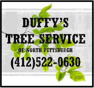Duffy's Tree Service Pittsburgh PA's Logo