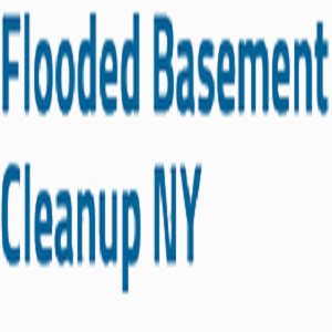 Flooded Basement Clean Up's Logo
