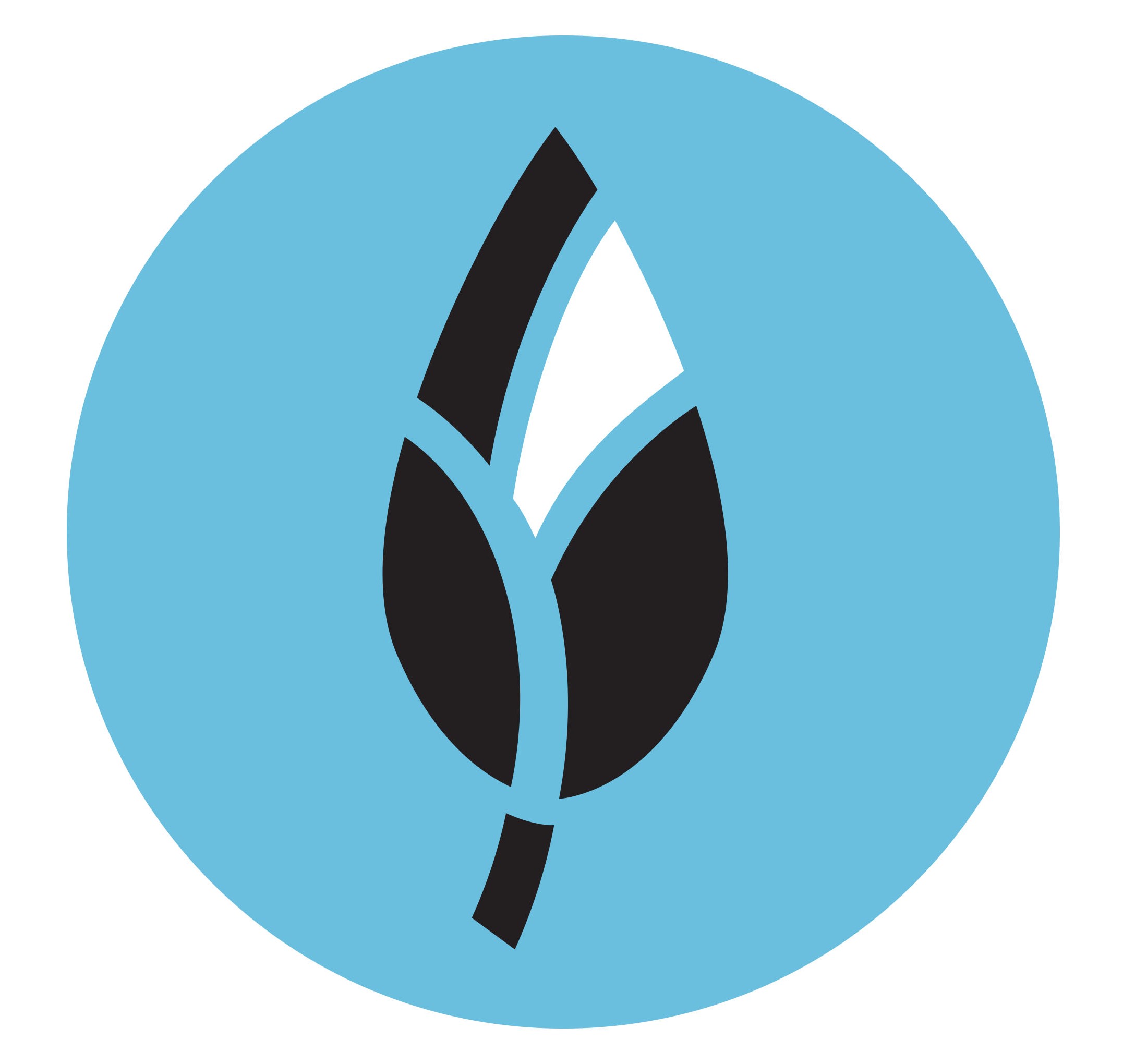 Blue Snow Inc.'s Logo