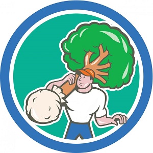 Palm Bay Tree Company's Logo