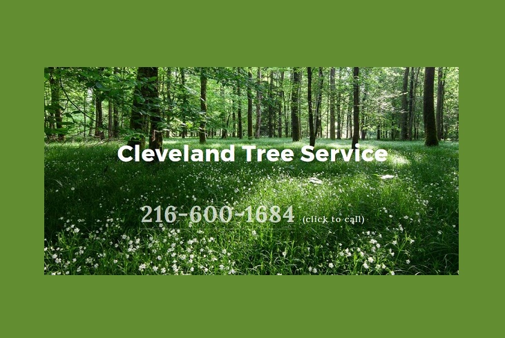 Cleveland Tree Service's Logo
