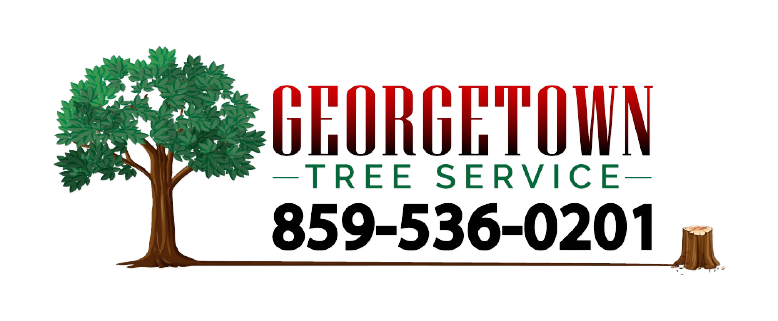 Georgetown Tree And Stump Service's Logo