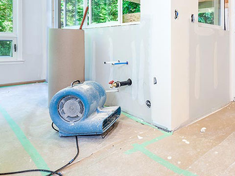 mold-removal-remediation