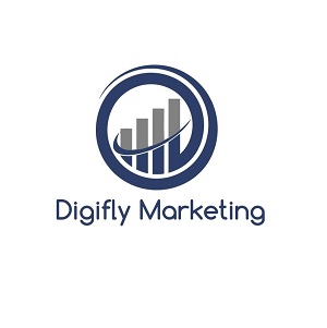 Digifly Marketing's Logo