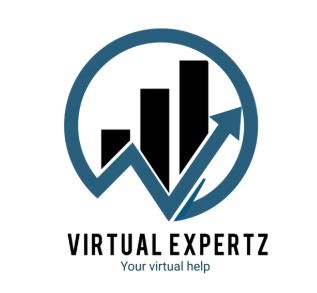 Virtual Expertz's Logo