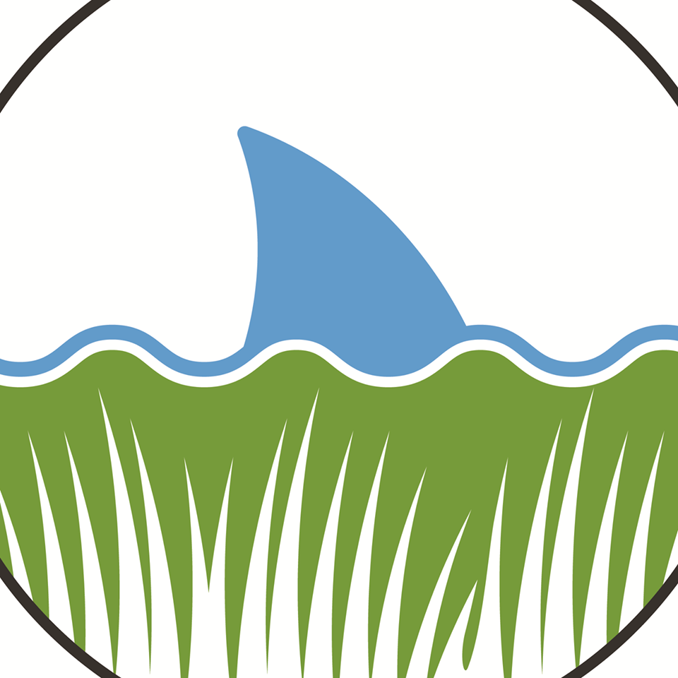 TurfnSurfLLC Lawn and Pool's Logo