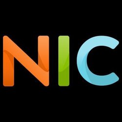 NIC IT Partner's Logo