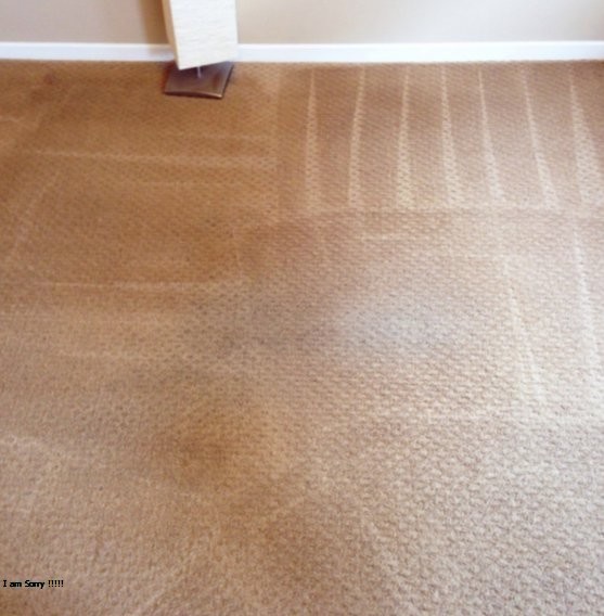 Hillsboro Carpet Cleaning