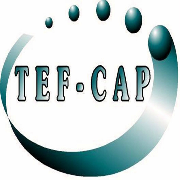 Tef Cap Industries Inc.'s Logo
