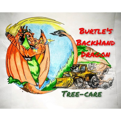 Burtle's Backhand Dragon's Logo