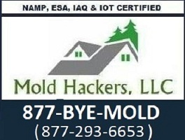 MoldHackers, LLC's Logo