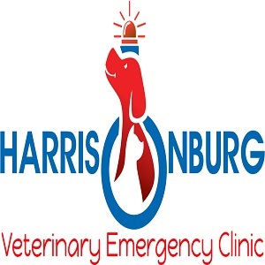 911 Pet Clinic's Logo