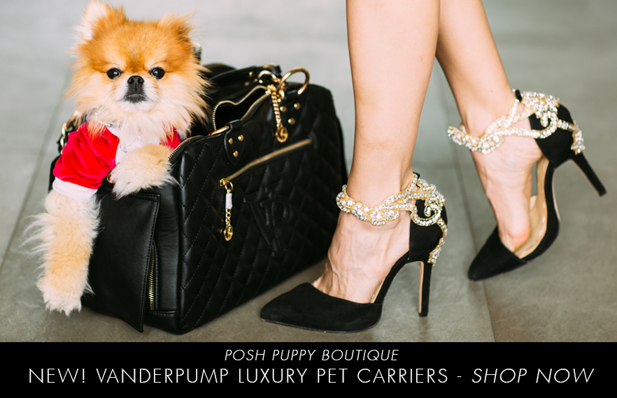 LUXURY DOG CARRIERS