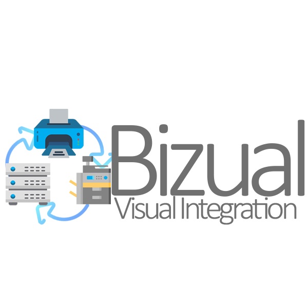 BIZUAL LLC's Logo