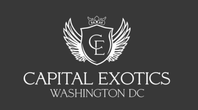 Capital Exotic's Logo