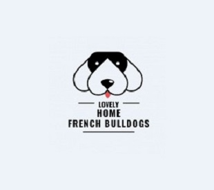 French Bull Dogs Texas's Logo