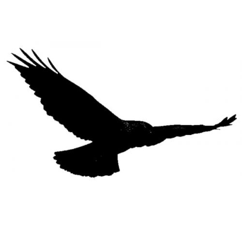 Hawk Educational Solutions's Logo
