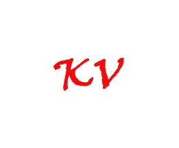 Kevin Vandenboss - Commercial Real Estate Agent's Logo