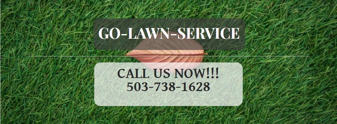 Go lawn service's Logo