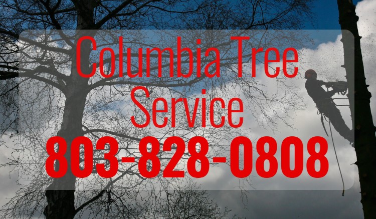 Columbia Tree Service's Logo