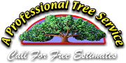 Professional Tree Service Lexington KY's Logo